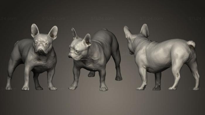 Animal figurines (DOG B, STKJ_0233) 3D models for cnc